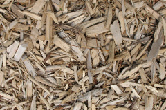 biomass boilers Drem