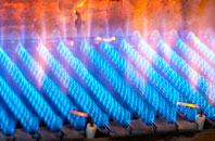 Drem gas fired boilers